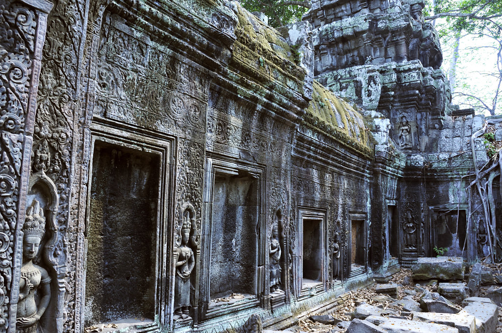 kambodscha - tempel von anghor - ta prohm (43)