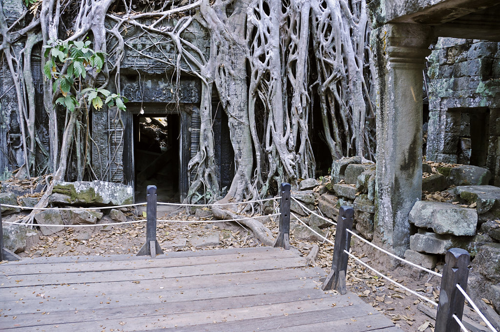 kambodscha - tempel von anghor - ta prohm (45)