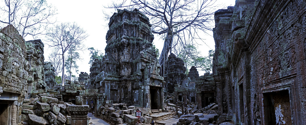 kambodscha - tempel von anghor - ta prohm (49) - teilpanorama te