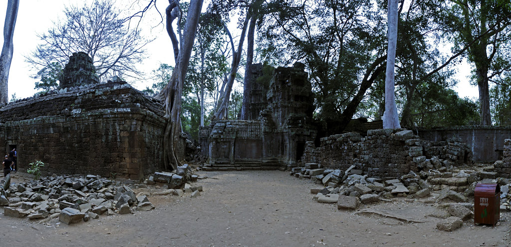 kambodscha - tempel von anghor - ta prohm (52) - teilpanorama te