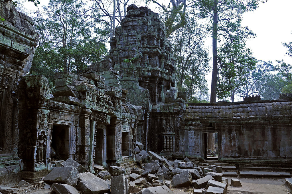 kambodscha - tempel von anghor - ta prohm (56)