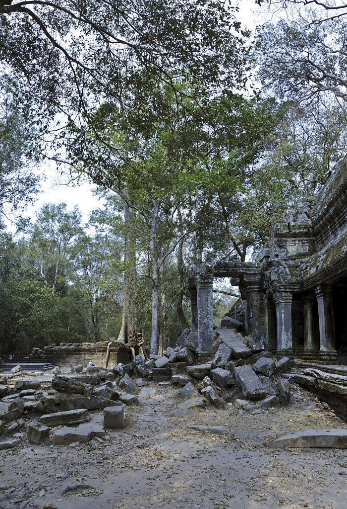 kambodscha - tempel von anghor - ta prohm (57) - teilpanorama te