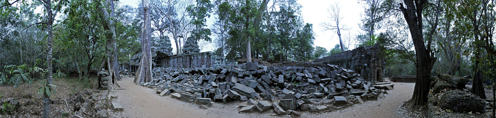 kambodscha - tempel von anghor - ta prohm (58) - teilpanorama te
