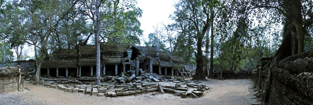 kambodscha - tempel von anghor - ta prohm (59) - teilpanorama te