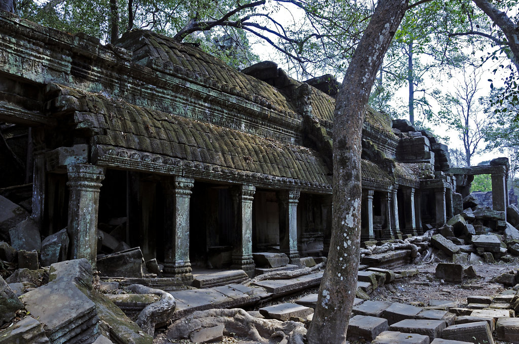 kambodscha - tempel von anghor - ta prohm (60)