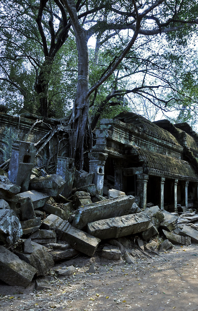 kambodscha - tempel von anghor - ta prohm (61)