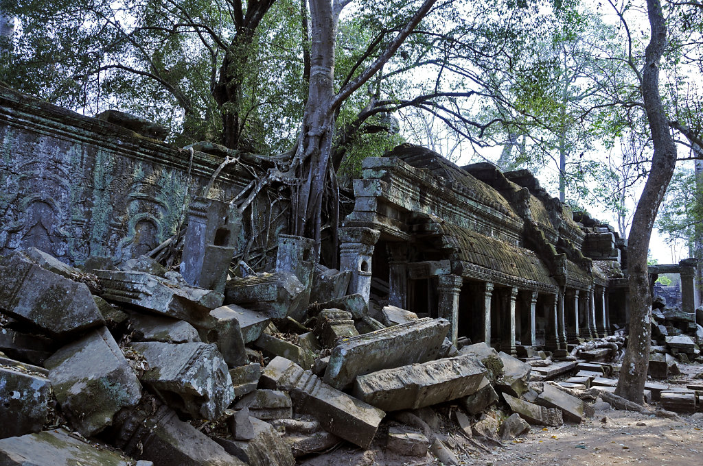 kambodscha - tempel von anghor - ta prohm (62)