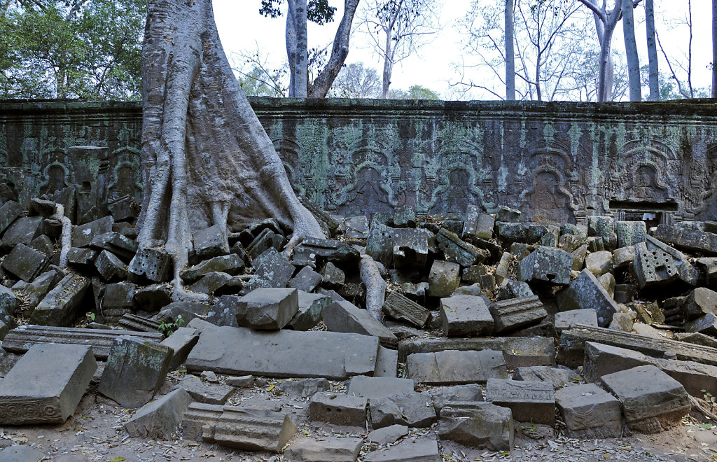 kambodscha - tempel von anghor - ta prohm (63)