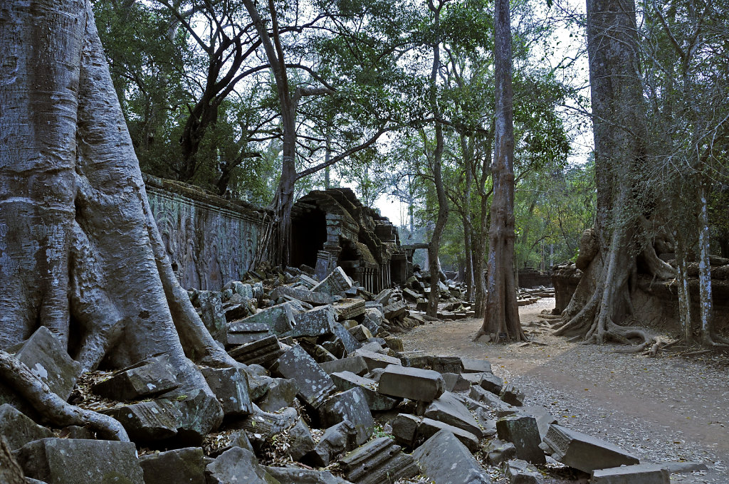 kambodscha - tempel von anghor - ta prohm (64)