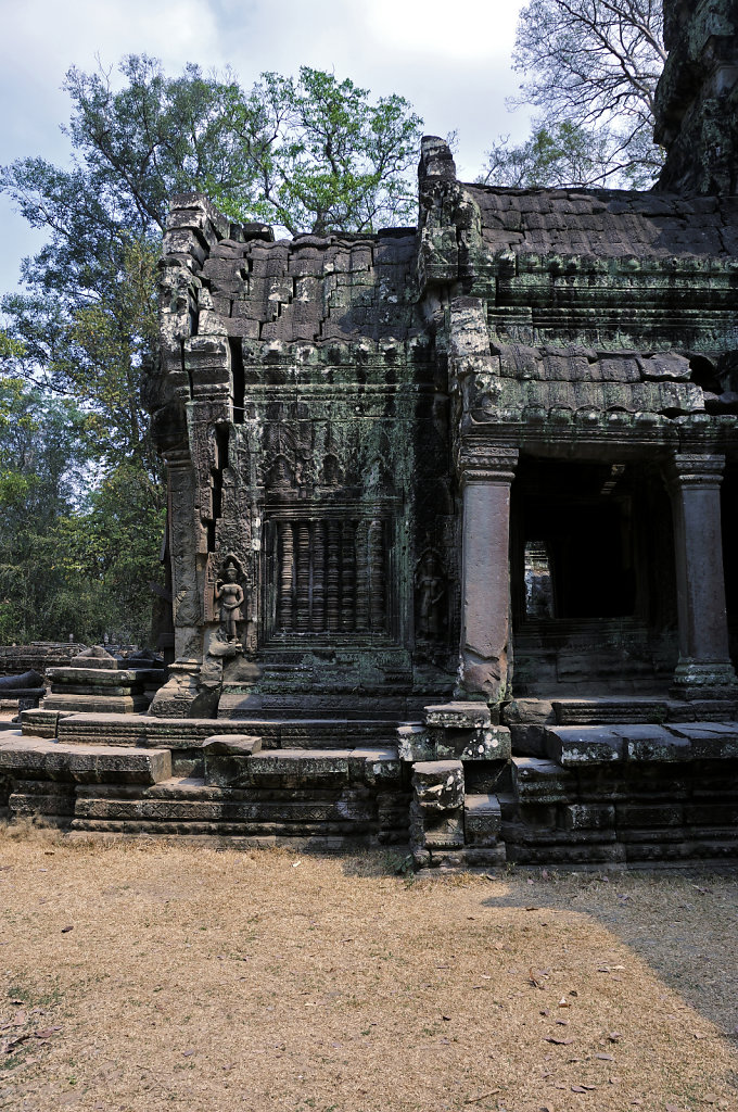 kambodscha - tempel von anghor - ta prohm (67)