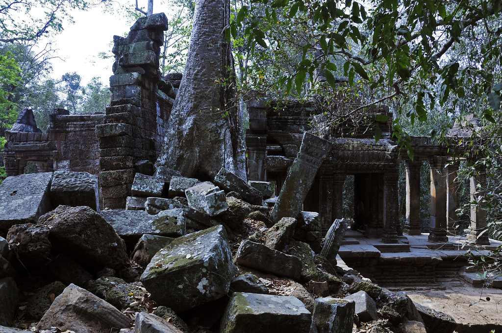 kambodscha - tempel von anghor - ta prohm (68)