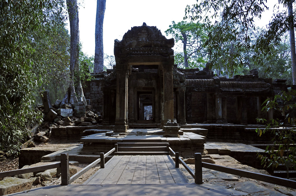 kambodscha - tempel von anghor - ta prohm (70)