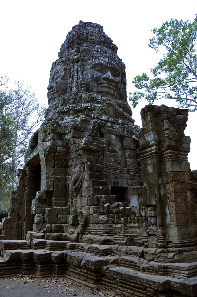 kambodscha - tempel von anghor - ta prohm (71)