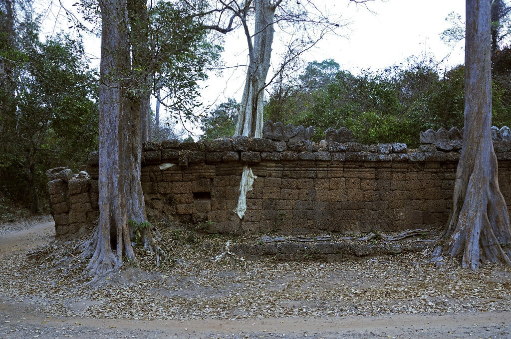 kambodscha - tempel von anghor - ta prohm (72)