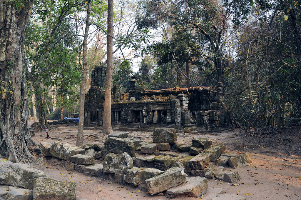 kambodscha - tempel von anghor - ta prohm (07)