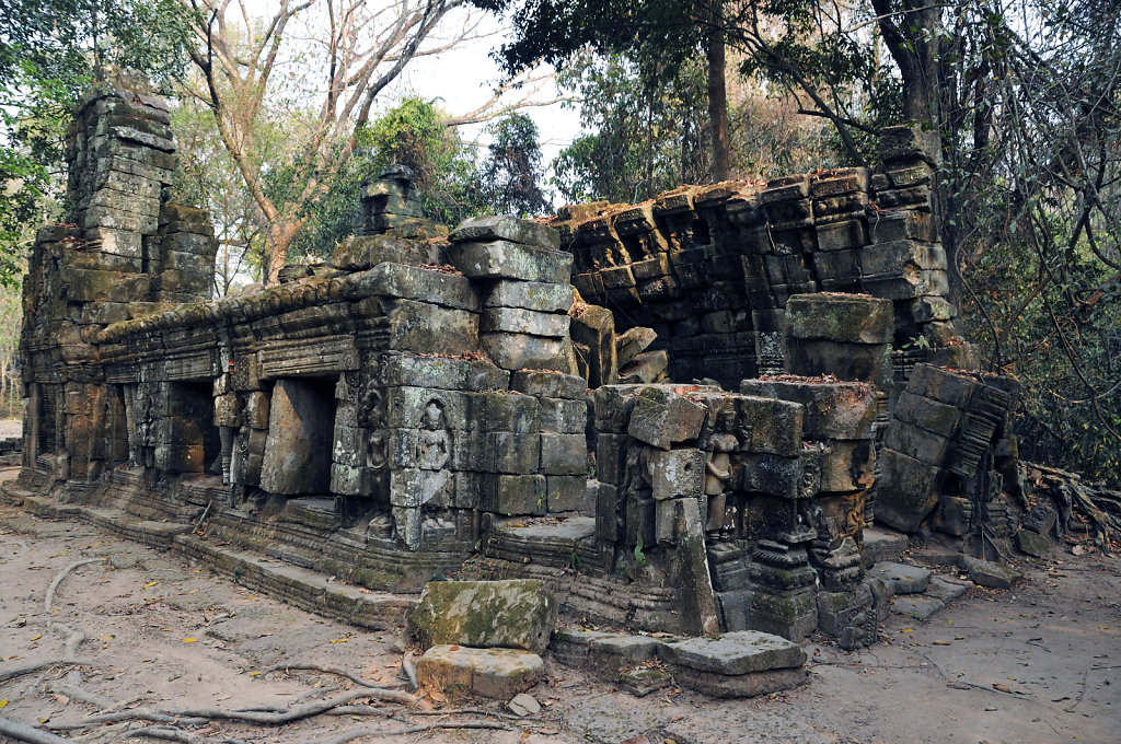 kambodscha - tempel von anghor - ta prohm (08)