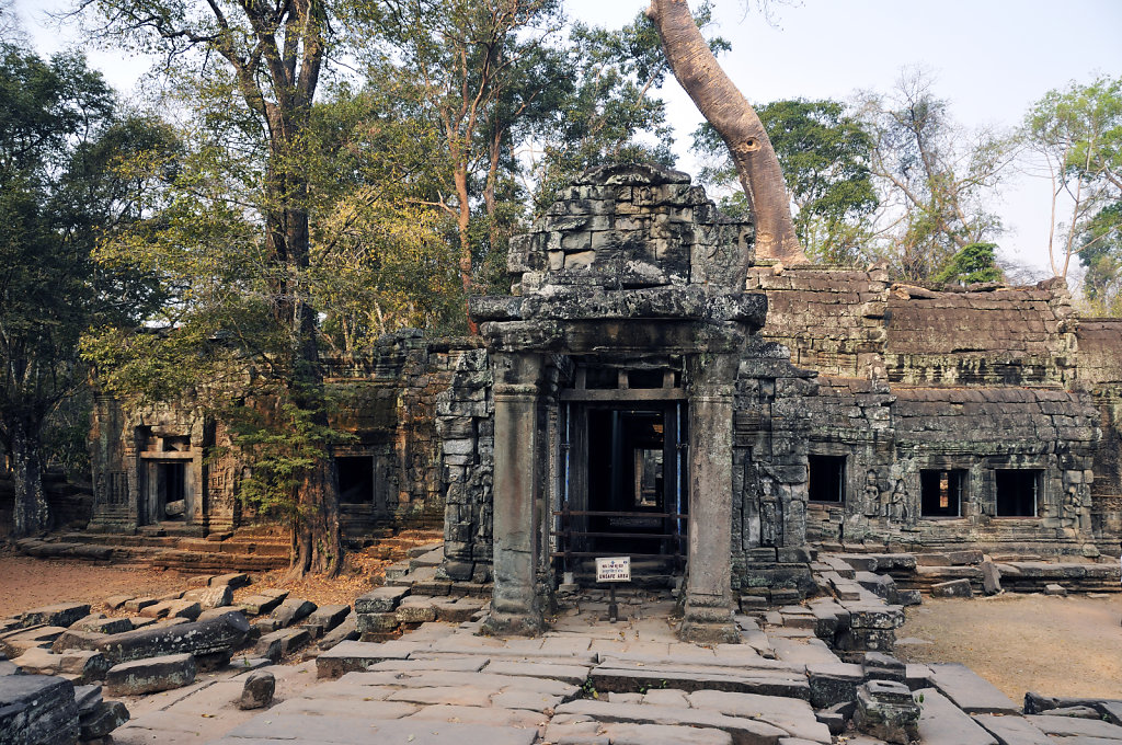 kambodscha - tempel von anghor - ta prohm (10)