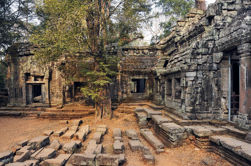 kambodscha - tempel von anghor - ta prohm (11)