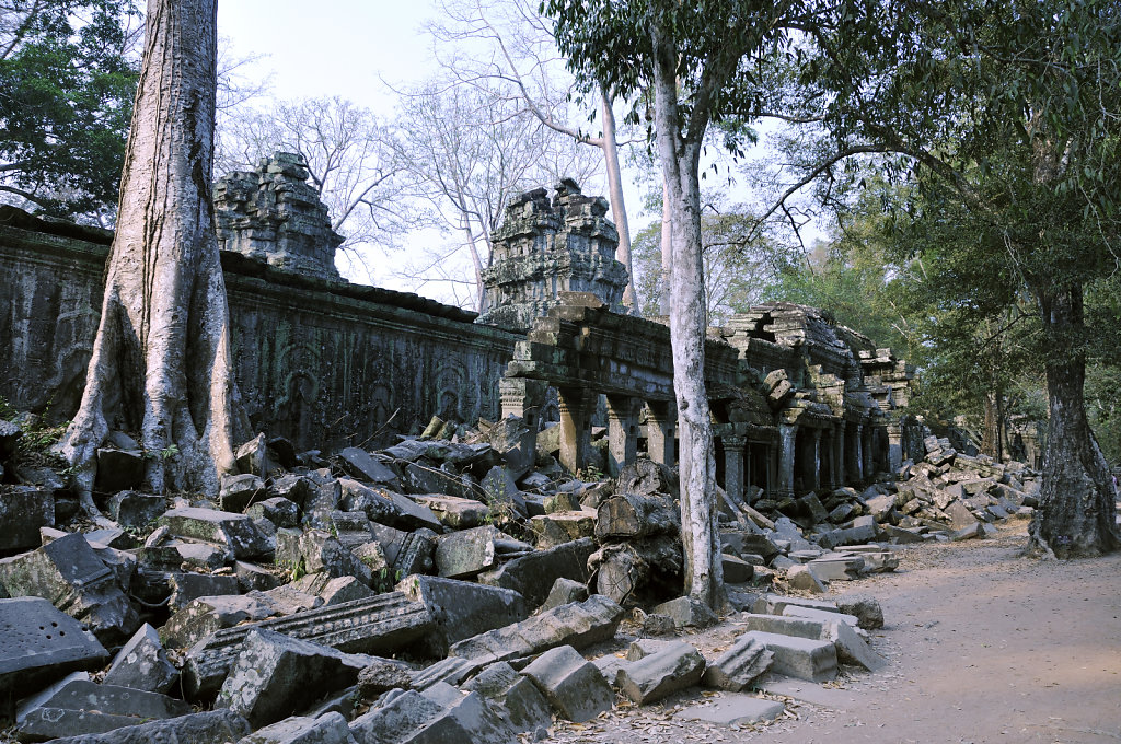 kambodscha - tempel von anghor - ta prohm (16)