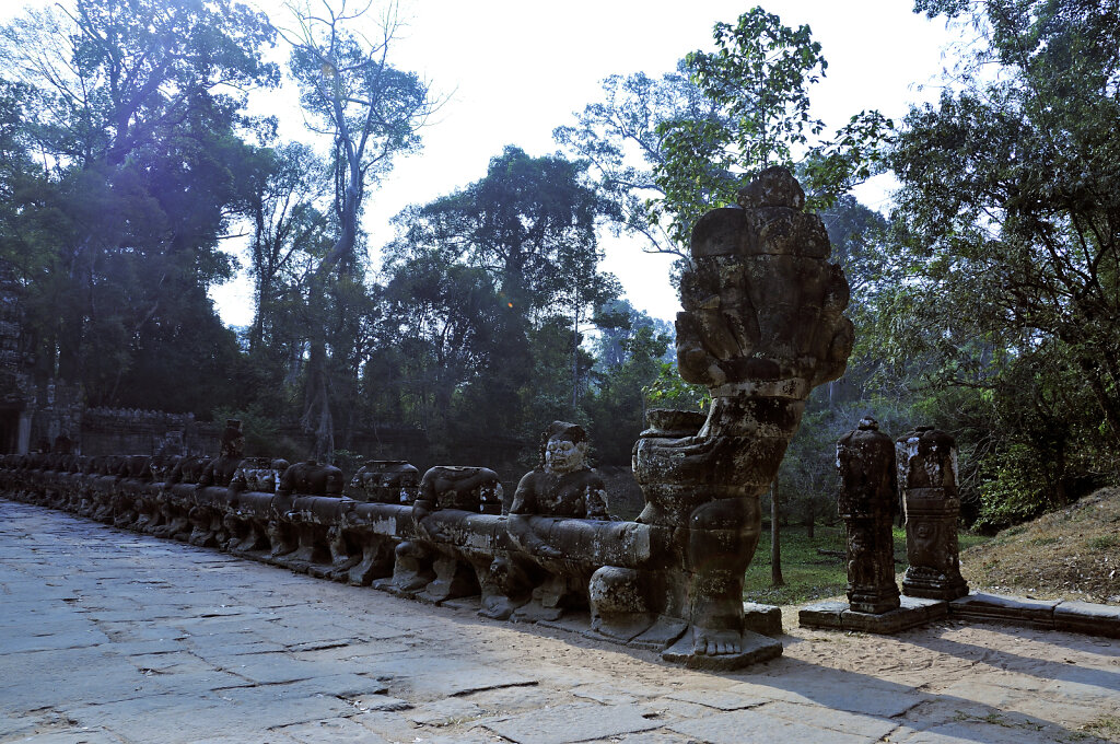 kambodscha - tempel von anghor -preak khan  (15)