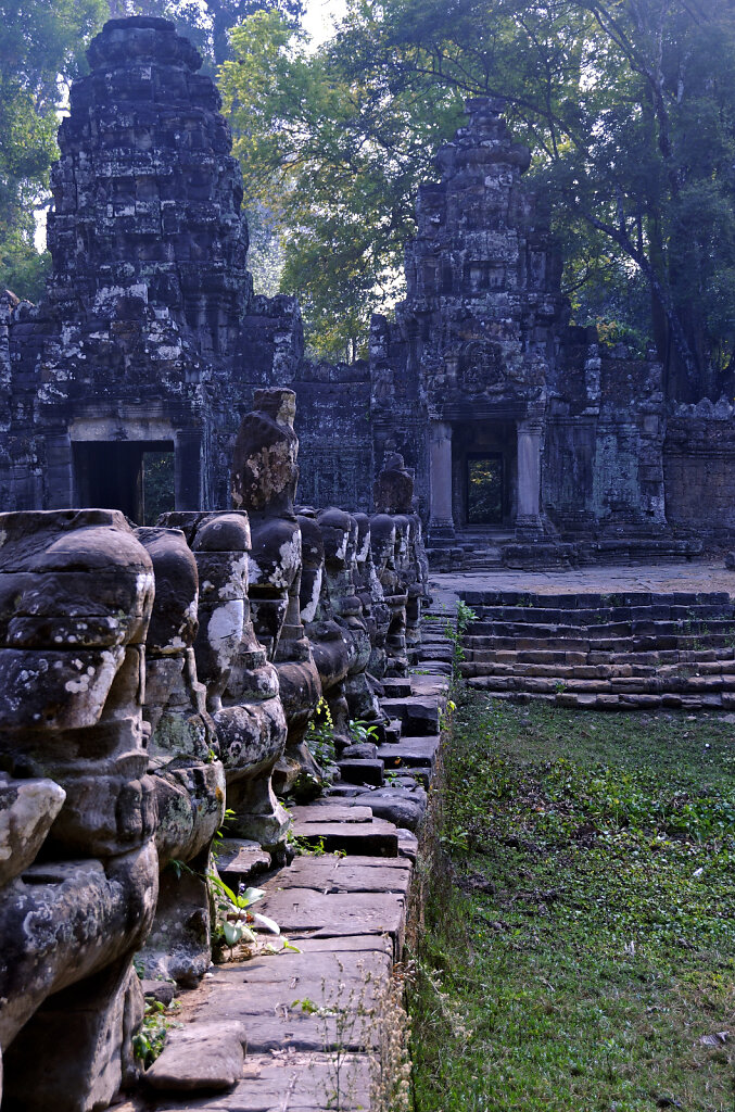 kambodscha - tempel von anghor -preak khan  (20)