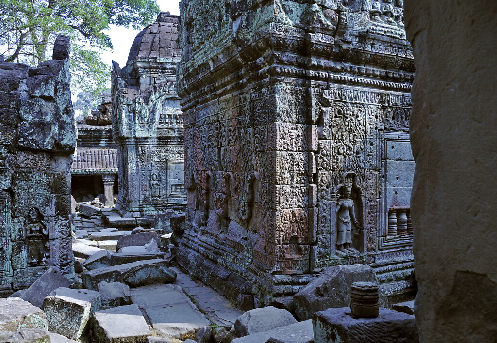 kambodscha - tempel von anghor -preak khan  (38)