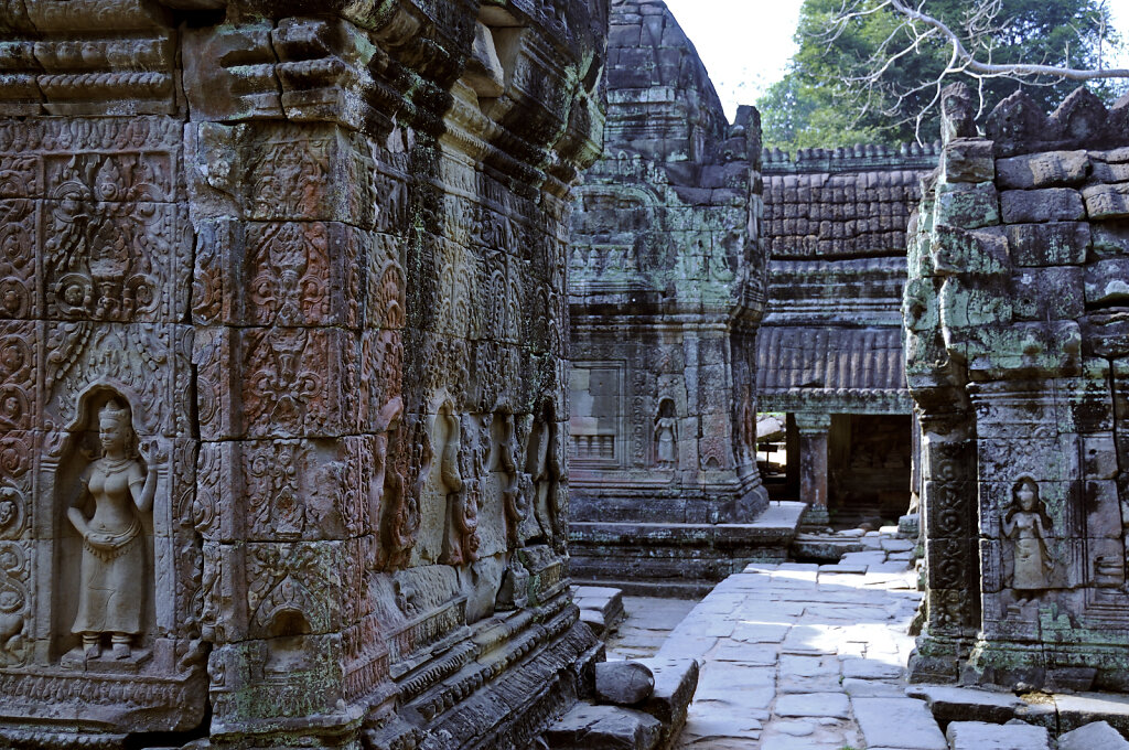 kambodscha - tempel von anghor - preak khan  (40)
