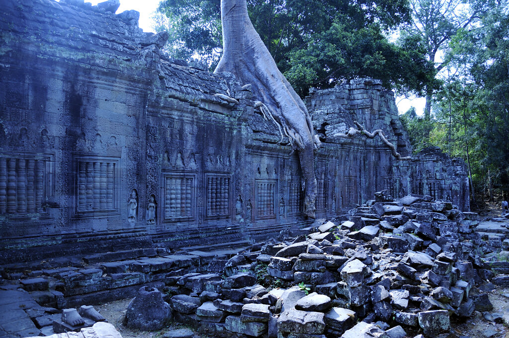 kambodscha - tempel von anghor - - preak khan  (56)