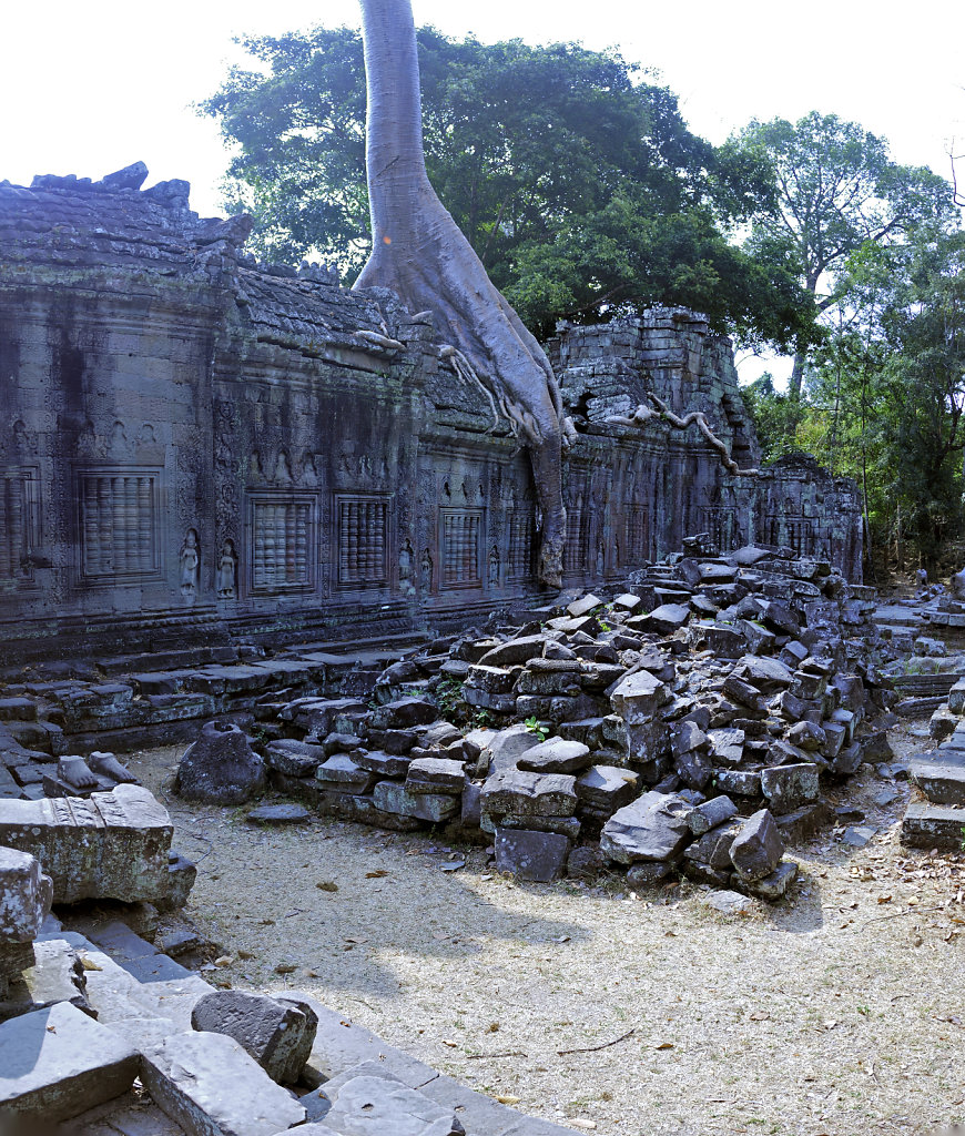 kambodscha - tempel von anghor - - preak khan - teilpanorama tei