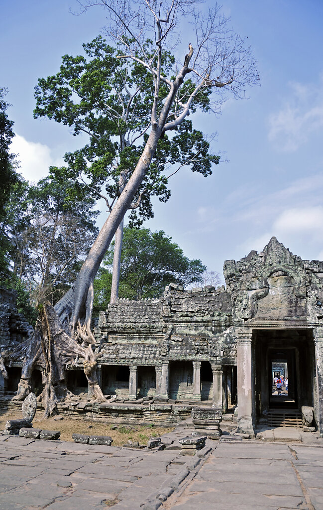 kambodscha - tempel von anghor - - preak khan  (59)