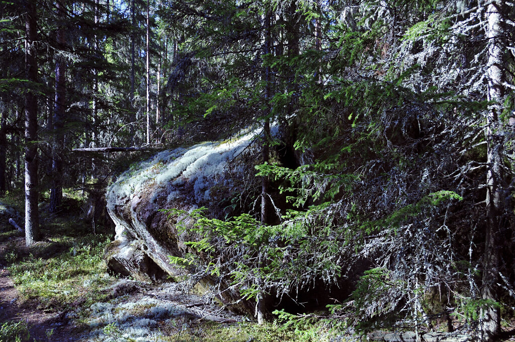 schweden 2017 - (45)