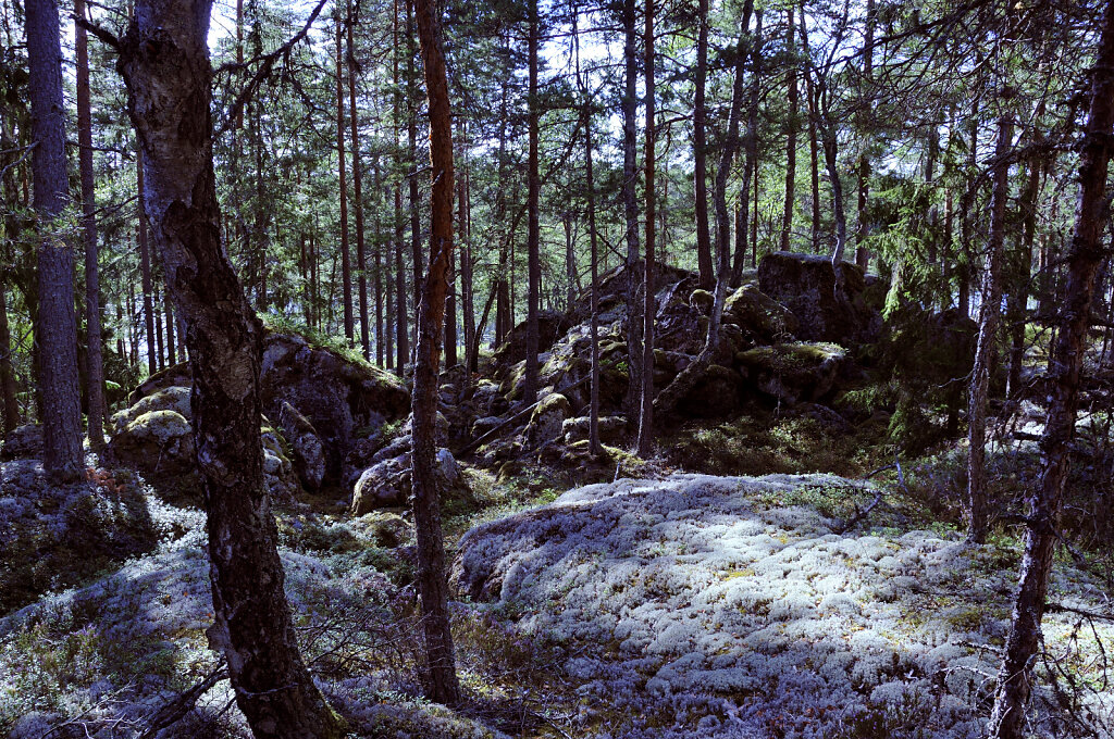schweden 2017 - (53)