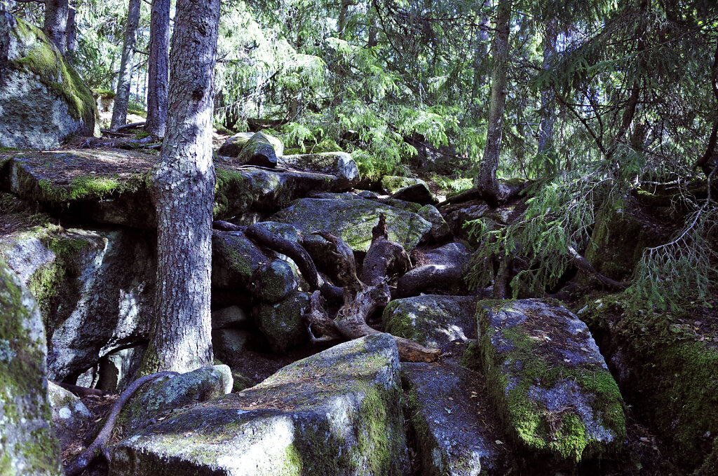 schweden 2017 - (140)