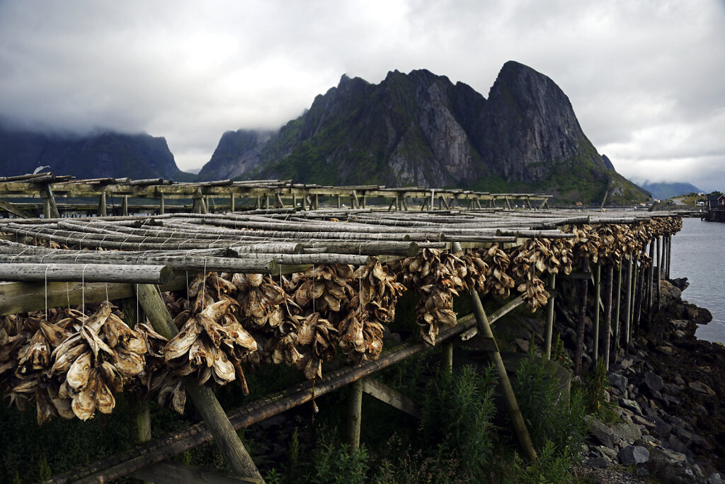 norwegen 2022 (120)
