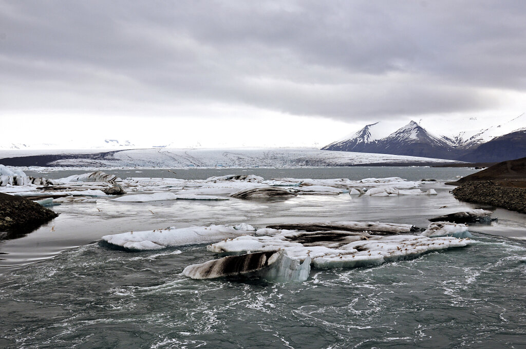 island – jökulsárlón (11)