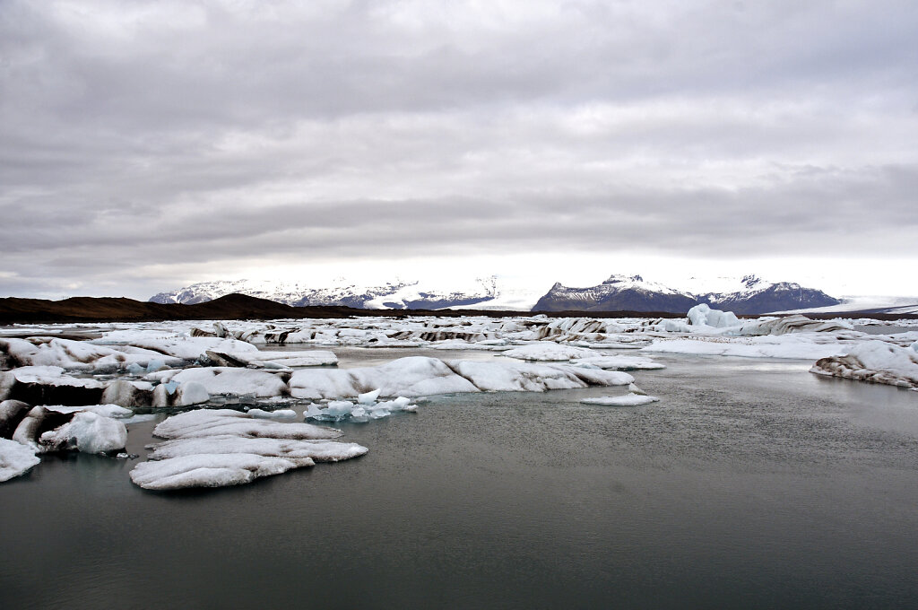 island – jökulsárlón (19)