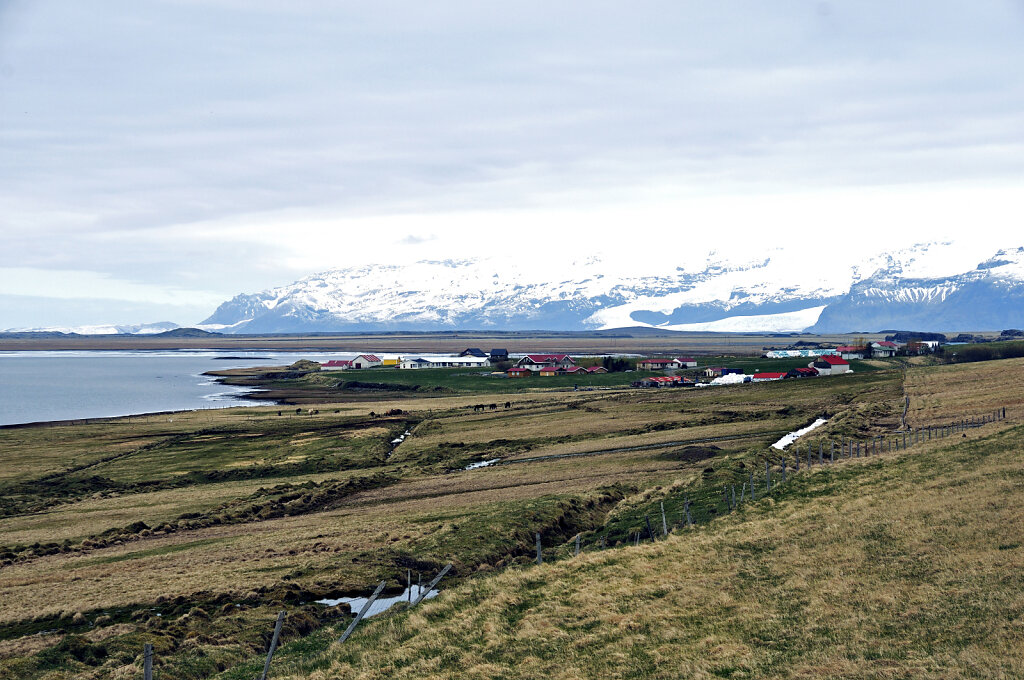island – hali (2)
