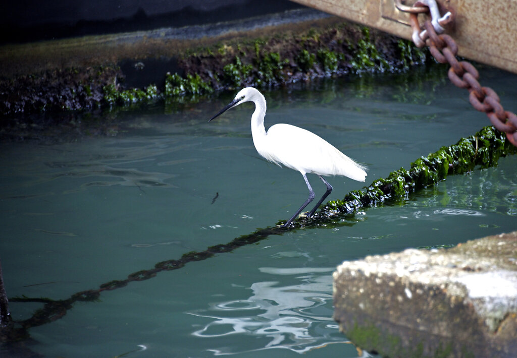 venedig 2020 (00) -