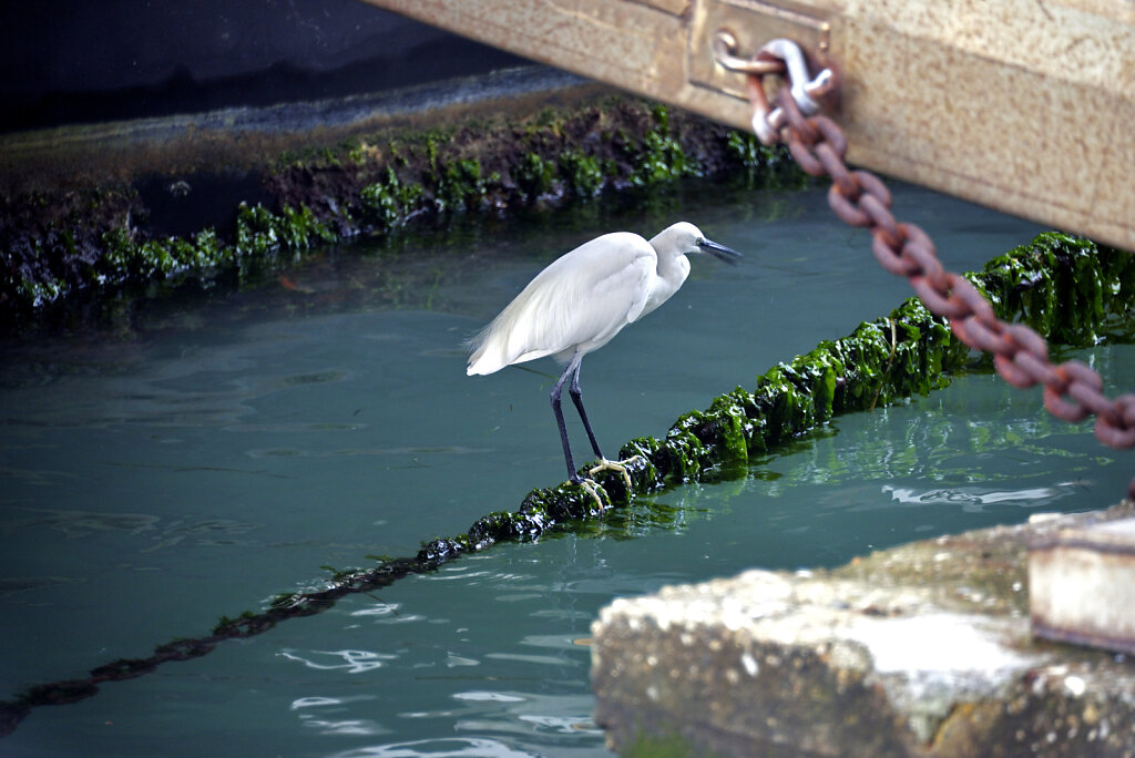 venedig 2020 (39) -