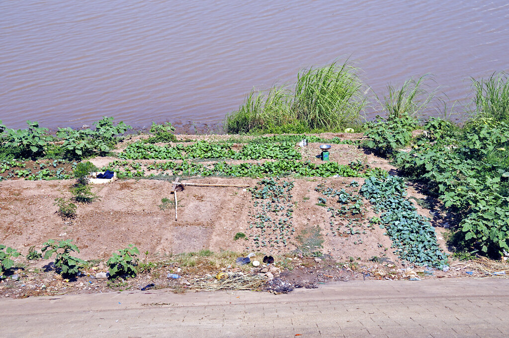 phnom penh -  am fluss (12)
