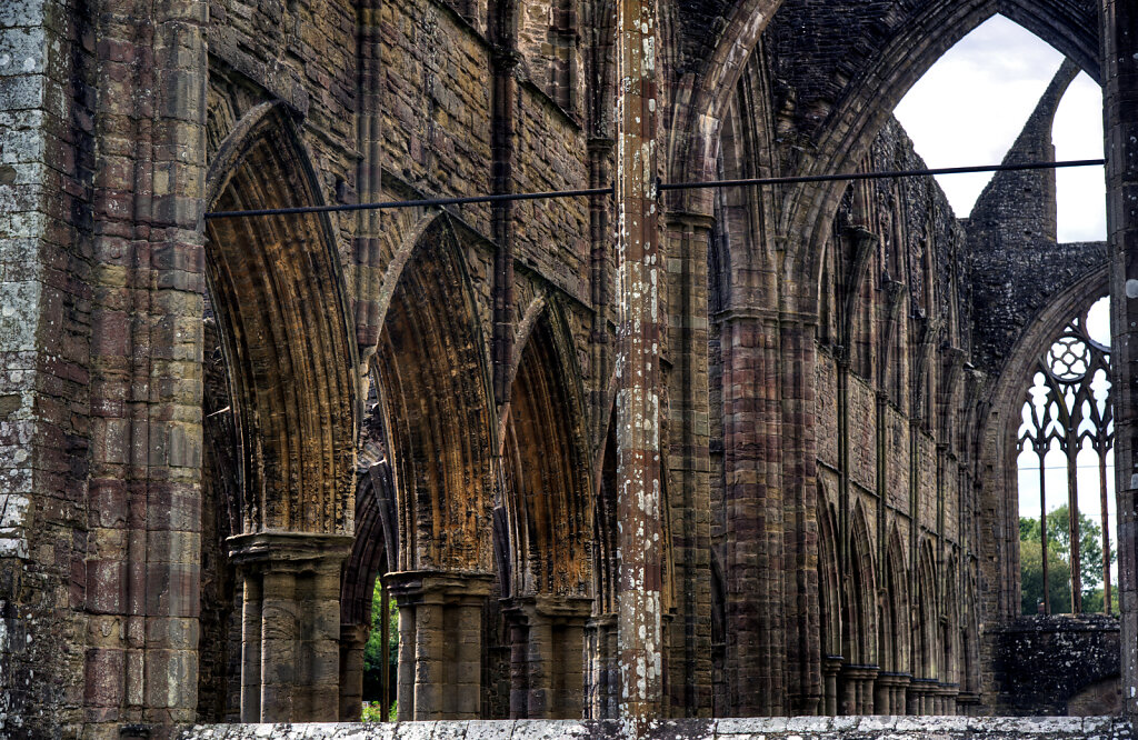 wales –  tintern abbey (13)