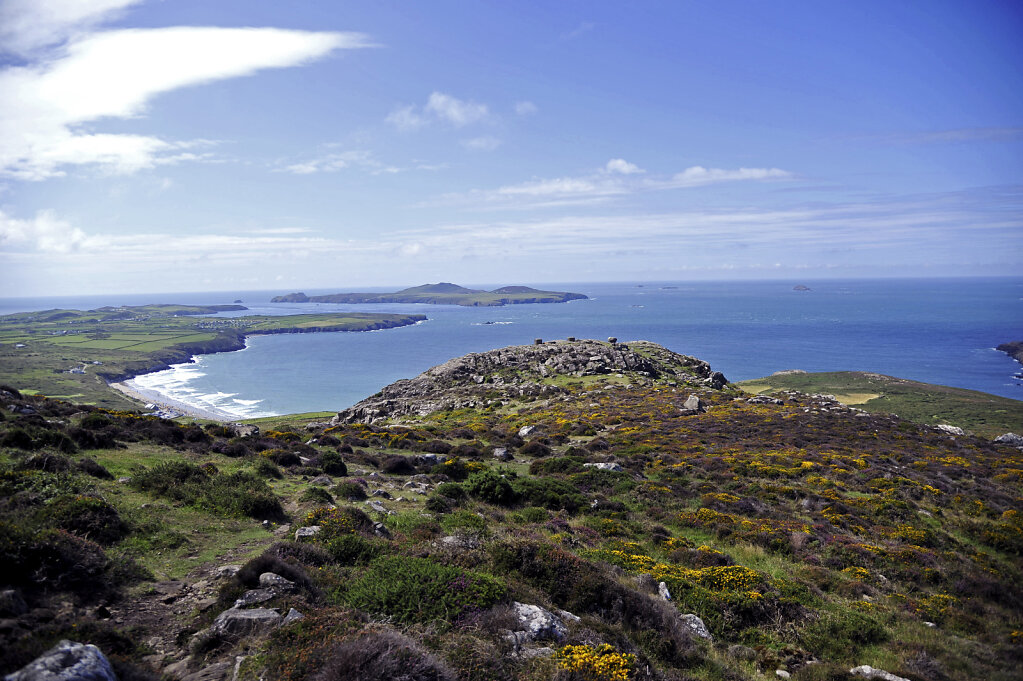 wales – whitesands bay  (14)